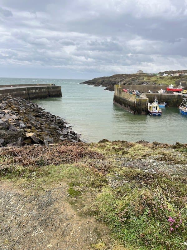 Anglesey Boat Charters photo 1