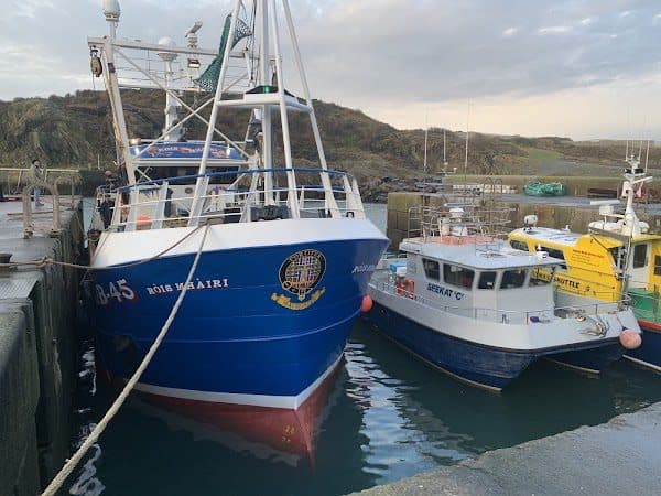 Anglesey Boat Charters photo 3
