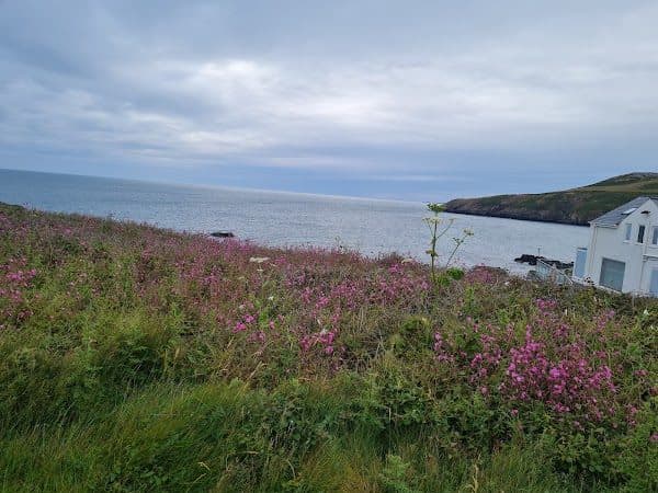 Church Bay photo 5
