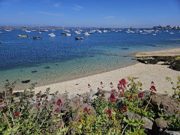 Holyhead Marina Cafe & Bar photo 2