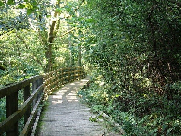 Nant-y-Pandy