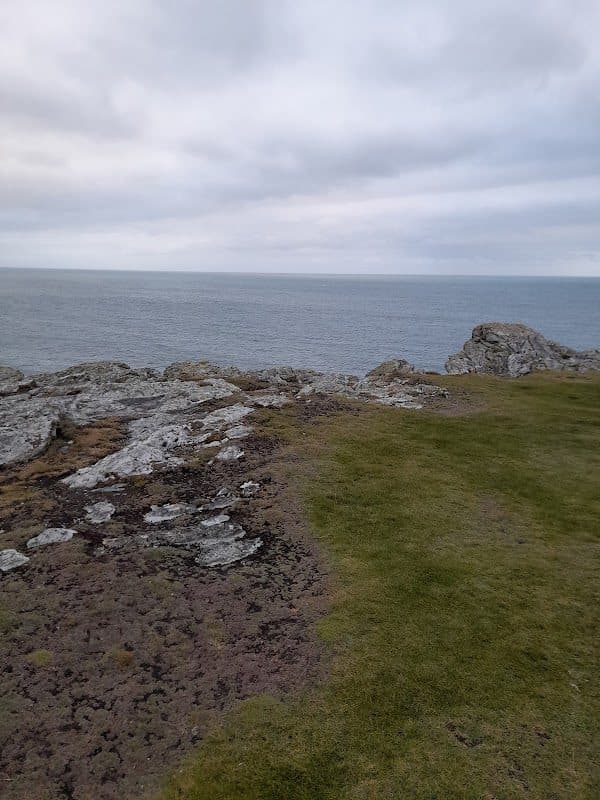 Porth Dafarch Caravan Park photo 4