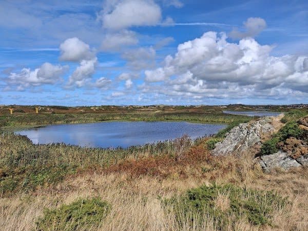 RSPB Valley Wetlands