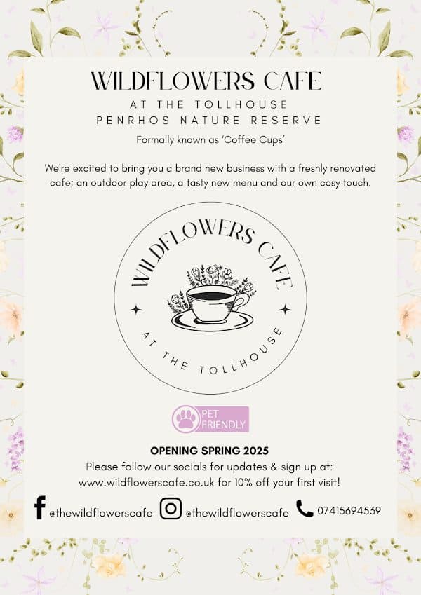 Wildflowers Cafe photo 2
