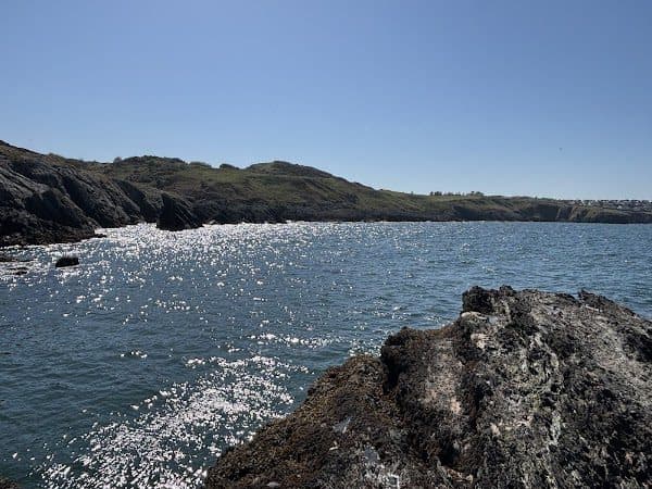 Anglesey Coastal Path photo 2