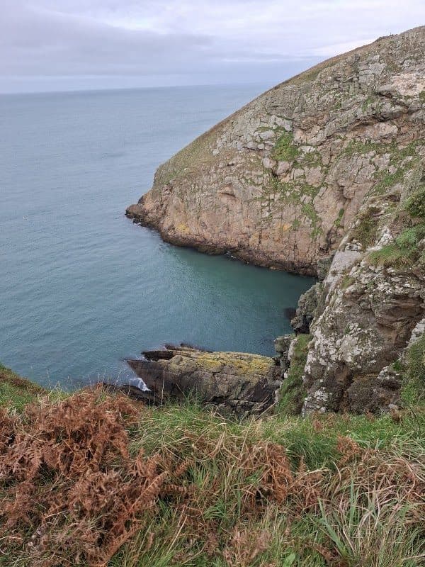 Anglesey Coastal Path photo 4