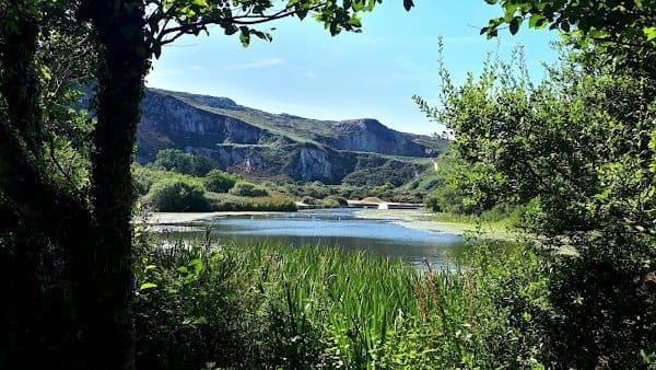 Breakwater Country Park photo 2