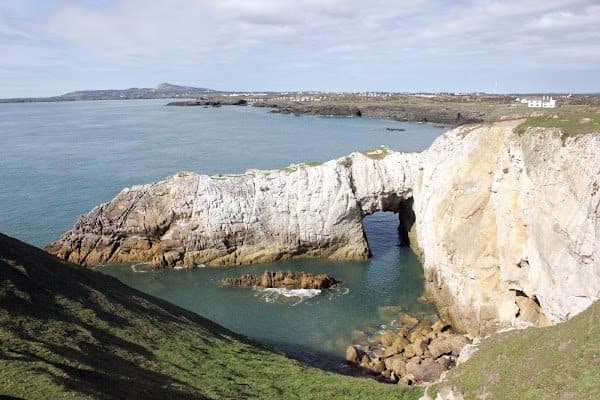 Bwa Gwyn photo 1
