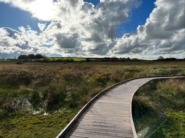 Cors Bodeilio National Nature Reserve photo 2
