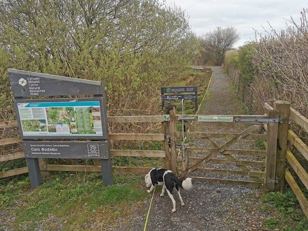 Cors Bodeilio National Nature Reserve photo 3