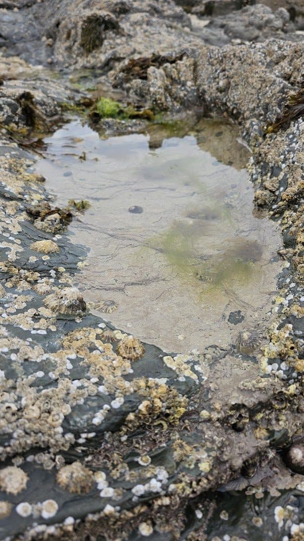 Holyhead Promenade photo 5
