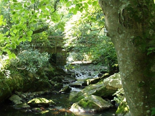 Nant-y-Pandy photo 2