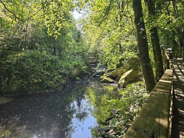 Nant-y-Pandy photo 5