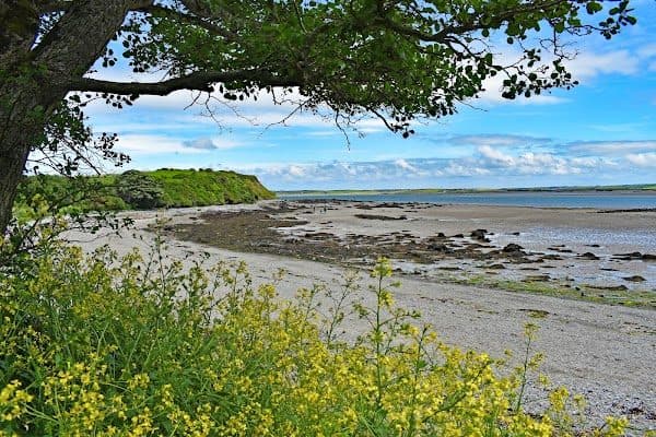 Parc Arfordirol Penrhos Coastal Park photo 1