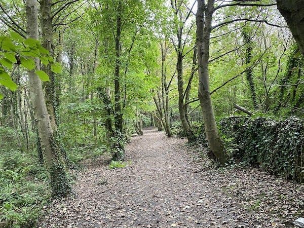 Parc Arfordirol Penrhos Coastal Park photo 3
