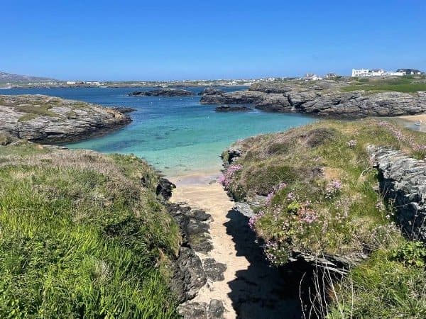 Porth Diana North Wales Wildlife Trust Nature Reserve photo 1