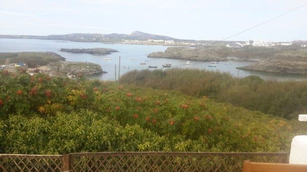 Porth Diana North Wales Wildlife Trust Nature Reserve photo 3