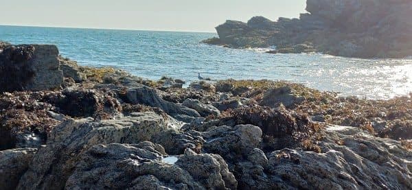 Porth y Corwgl photo 5
