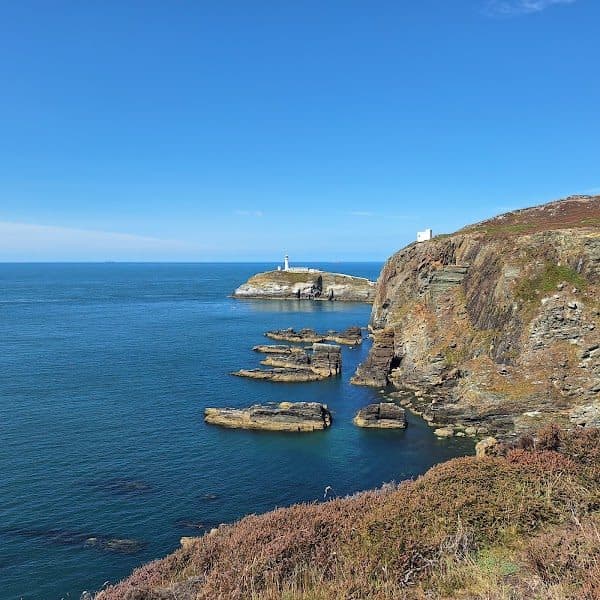 RSPB South Stack photo 3
