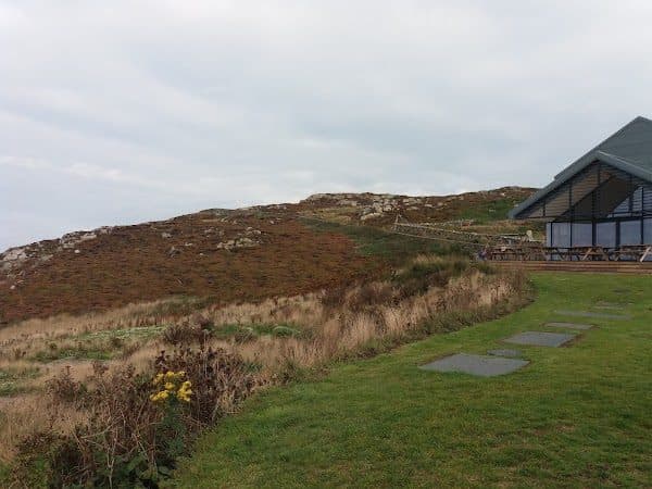 RSPB South Stack photo 6