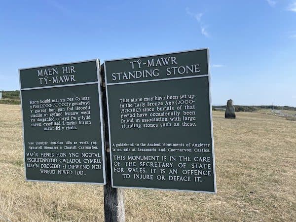 Tŷ Mawr Standing Stone photo 1