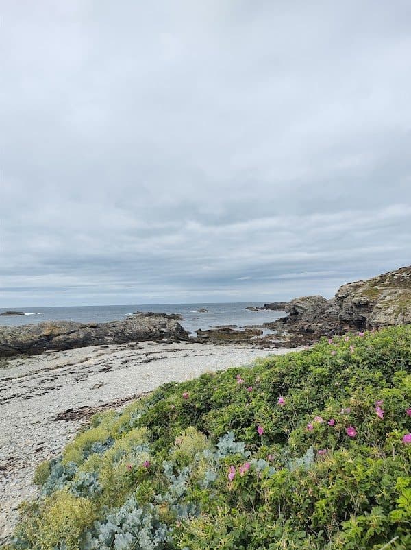 Trearddur Bay Holiday Homes photo 4